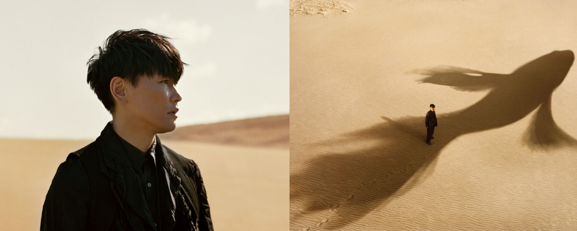 Otsuka Pharmaceutical