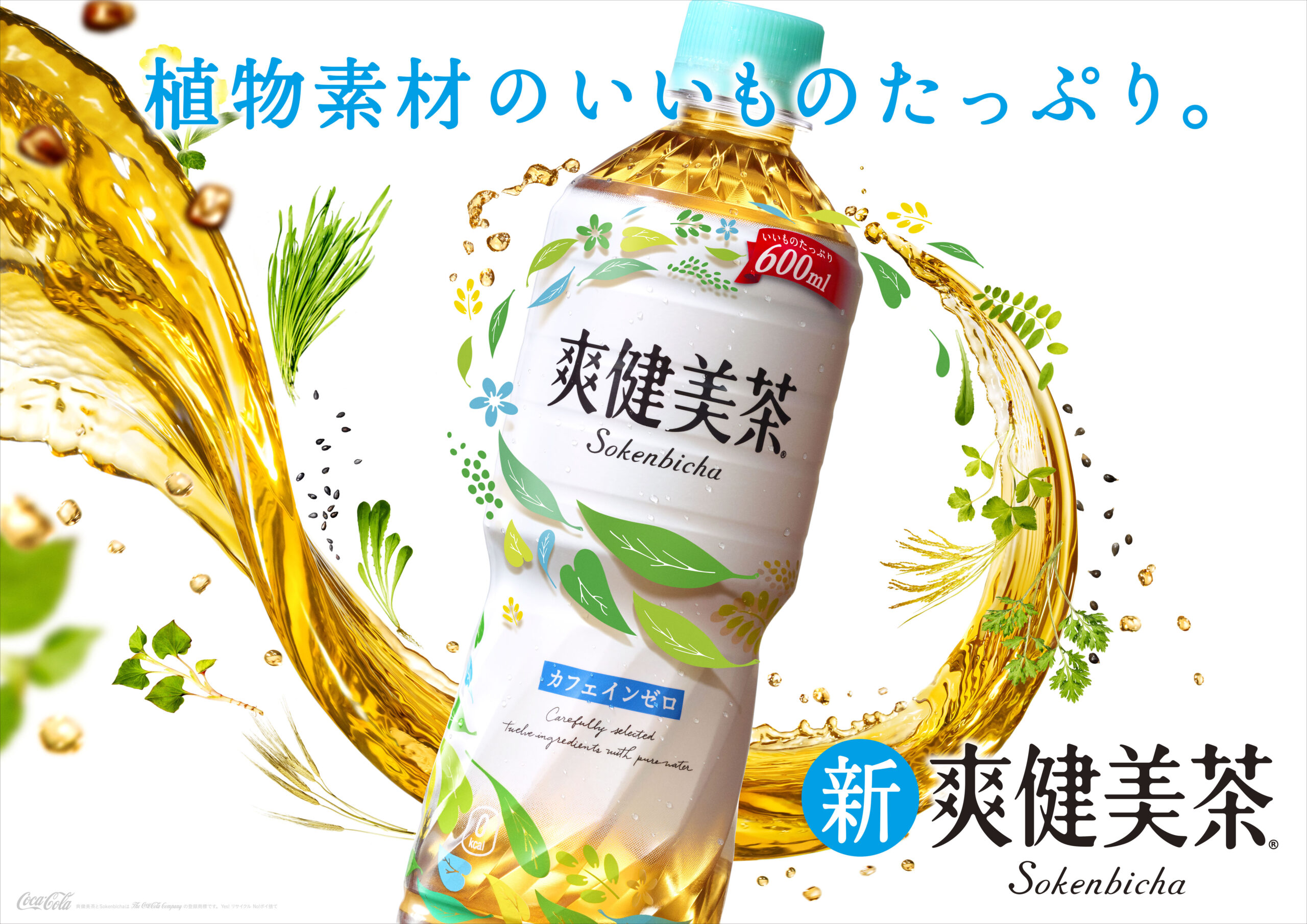 The Coca‑Cola Company